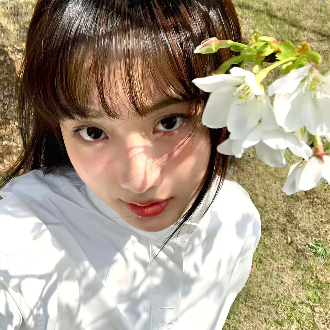 我是桃花观里的桃花仙人